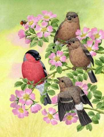 Eurasian Bullfinches Flag - Large Garden Size for Outdoor Decoration & Bird Watching Enthusiasts