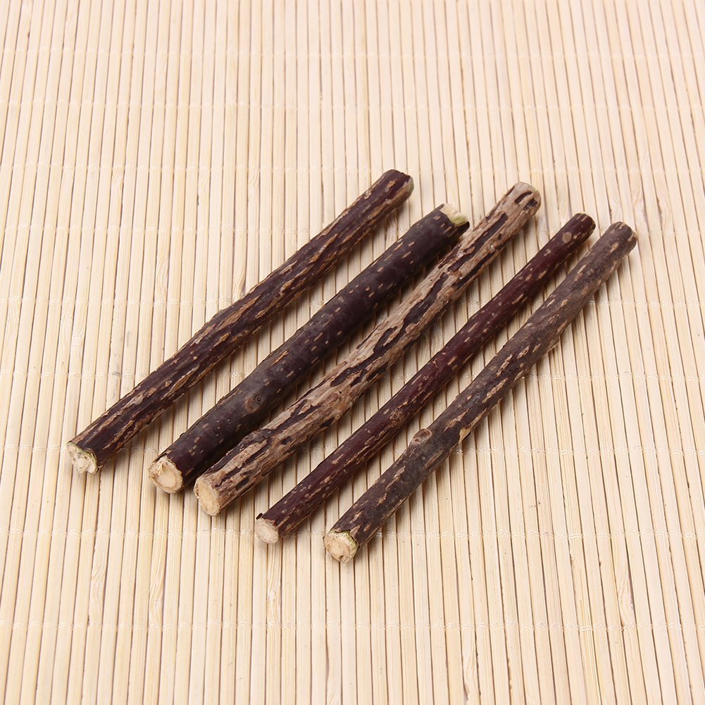 5 PCS Cat Teeth Grinding Chew Toys with Catnip - Dental Care Molar Snack Sticks for Kittens & Adult Cats - Perfect for Teething, Stress Relief and Playtime