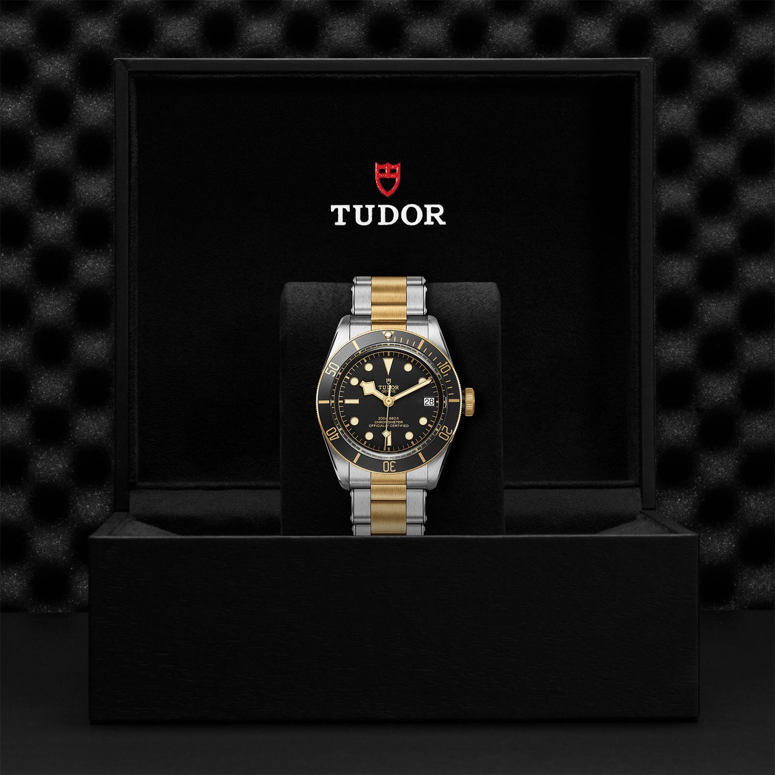 Original Title: black bay s g m79733n 0008   Optimized Title: Tudor Black Bay S&G M79733N-0008 Luxury Watch - Men's Two-Tone Steel & Gold Automatic Diver - Perfect for Business, Casual & Water Sports