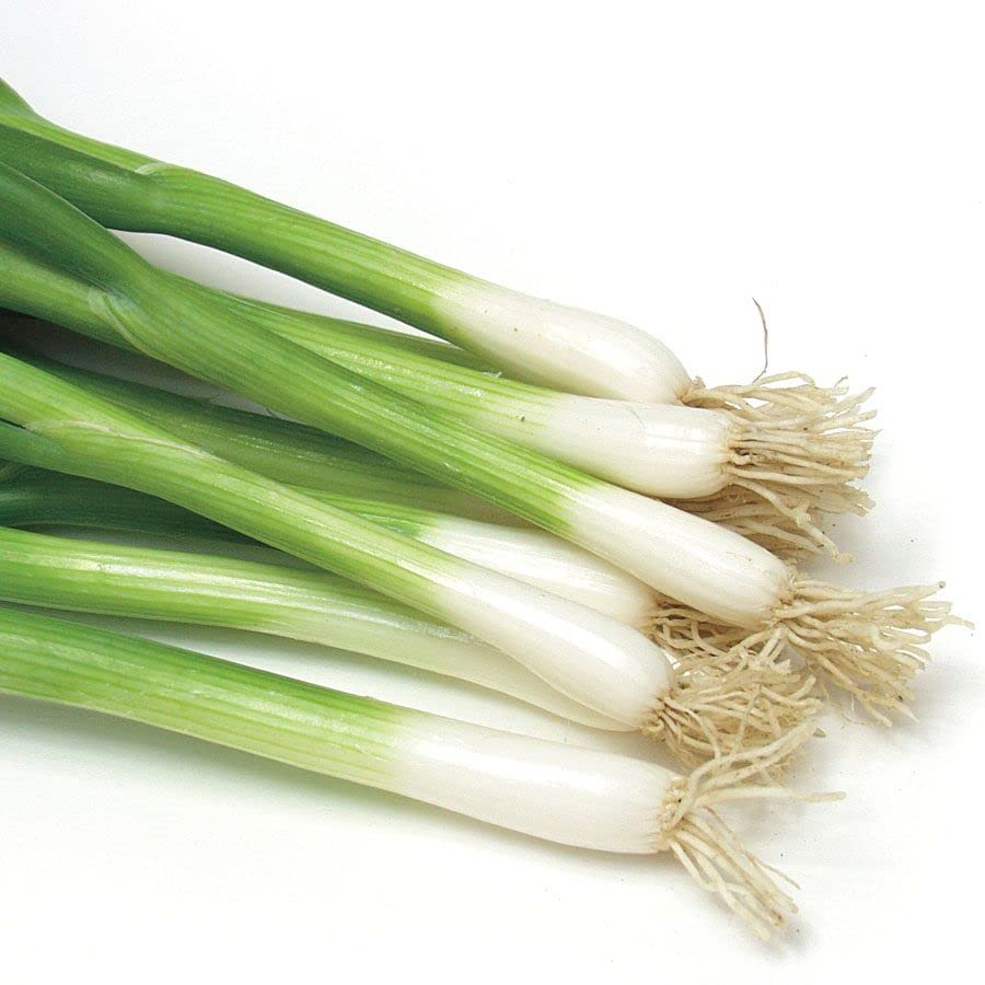 Organic Tokyo Long White Bunching Onion Heirloom Seeds - Non-GMO, 1g Packet for Home Gardening, Cooking & Fresh Salads