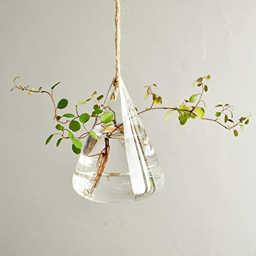 3-Piece Glass Propagation Station Wall Hanging Planters - Indoor Hydroponic Wall Vases for Plants, Flowers & Terrariums | Perfect for Home Decor, Office Greenery & Gift Giving