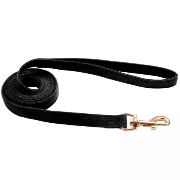 Premium Coastal Accent Microfiber Dog Leash - Soft, Durable & Stylish for Small to Medium Dogs | Perfect for Beach Walks, Park Adventures & Outdoor Activities