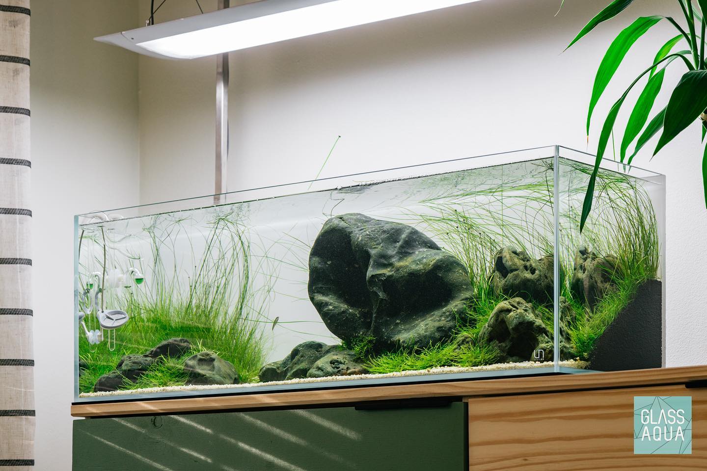 Premium UNS Rimless Long Glass Aquarium Tank - Crystal Clear View for Nano Fish & Shrimp | Perfect for Home Office, Living Room Decor & Zen Aquascaping