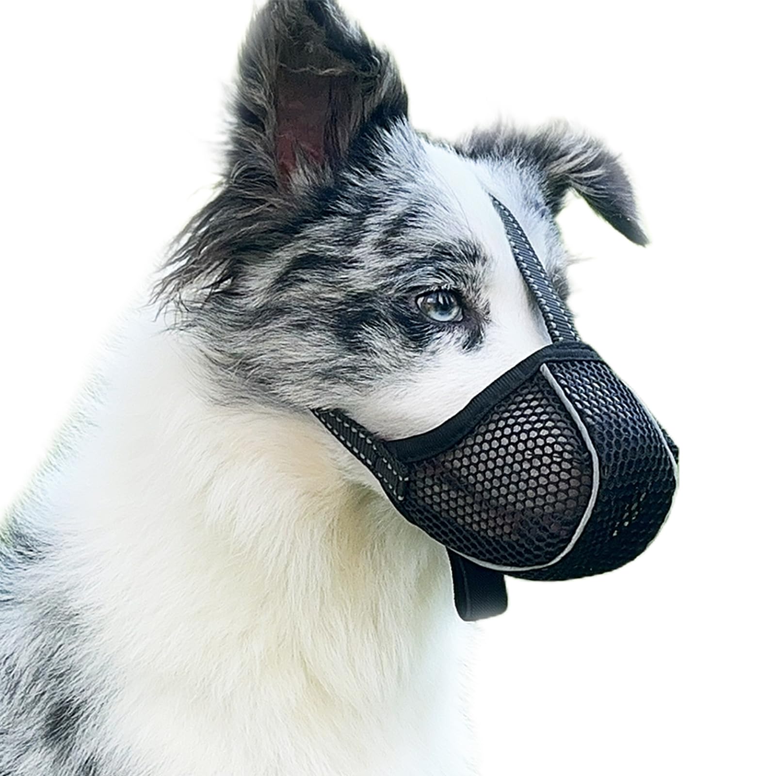 Large Dog Muzzle for Biting Prevention - Adjustable Breathable Reflective Muzzle for Medium to Large Dogs - Stop Chewing, Eating & Aggressive Behavior (Black, Size L) - Perfect for Training, Walks & Vet Visits