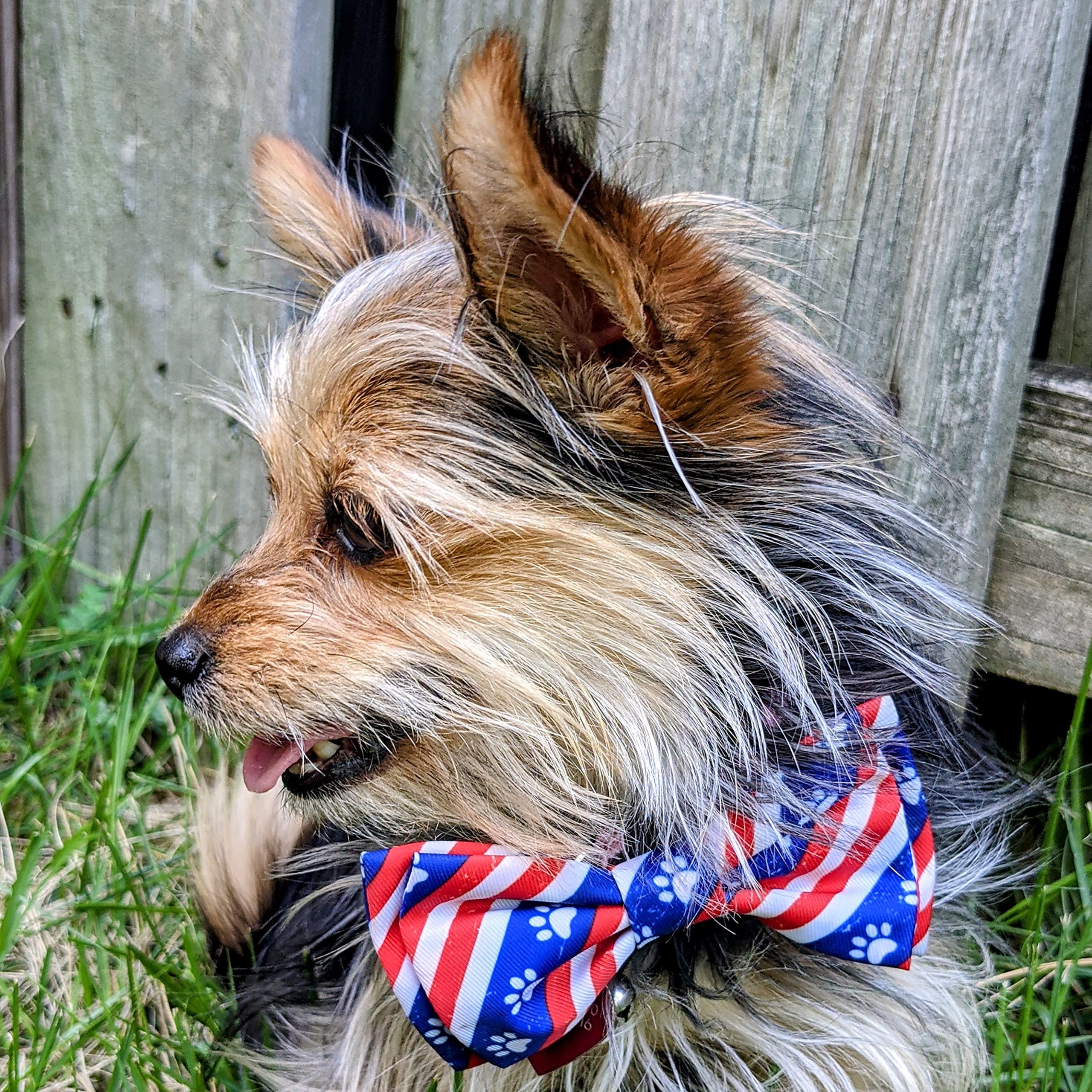 Huxley & Kent Extra-Large Pet Bow Tie Collar Attachment - Patriotic 4th of July Dog & Cat Bow Tie | Cute, Comfortable & Durable Paws & Stripes Design | Perfect for Holidays, Parties & Photo Shoots | H&K Pet Accessories