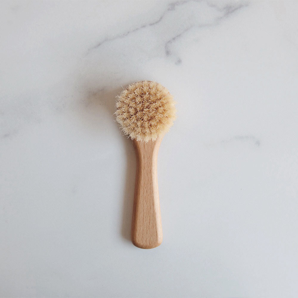 Premium Wooden Mushroom Brush - Natural Cleaning Tool for Fresh Mushrooms - Perfect for Kitchen, Camping & Farmers Market Use