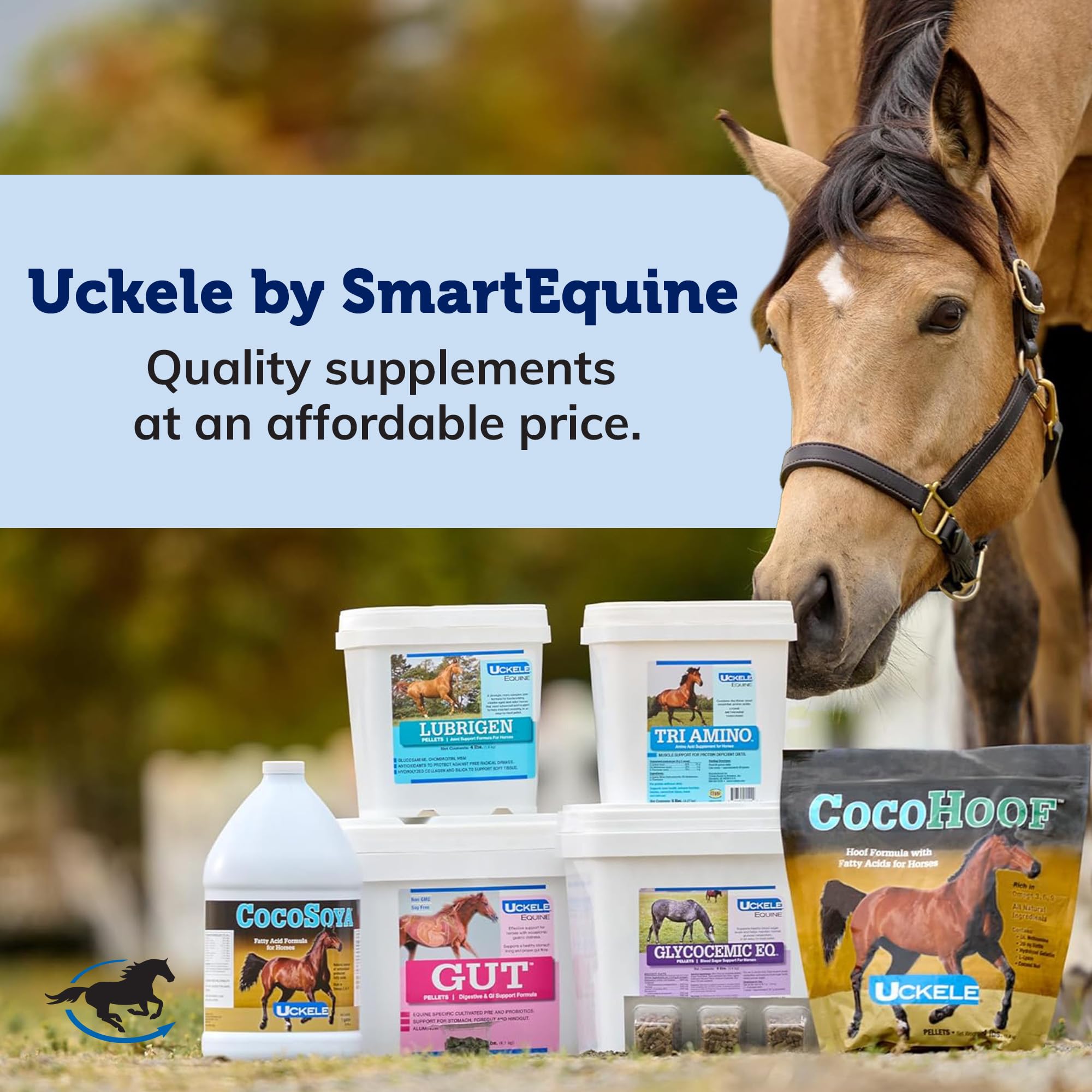 SmartEquine CocoHoof Horse Hoof Supplement with Biotin, Amino Acids & Vitamins | 4lb Bag | Supports Strong Hooves & Coat Health | Ideal for Performance Horses, Show Horses & Daily Equine Care