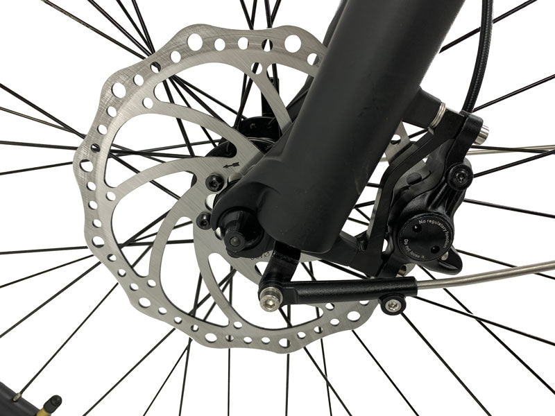 Synergy Commuter Low Step - Comfortable & Lightweight Women's Bike for City Riding & Daily Commuting - Perfect for Urban Travel, Exercise & Leisure Cycling