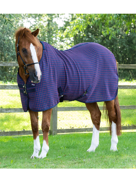 Premier Equine 3D Waffle Cooler Rug - Breathable Horse Cooling Blanket for Summer & Training - Perfect for Show Jumping, Dressage & Trail Riding