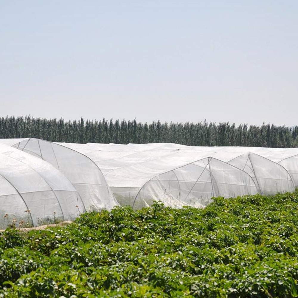 YBB Thicken Garden Barrier Netting - 13.12'x6.56' Mosquito & Bird Protection Mesh for Plants, Fruits & Flowers | Durable Insect Screen, Hunting Blind Cover | Perfect for Vegetable Gardens, Orchards & Backyard Plant Protection