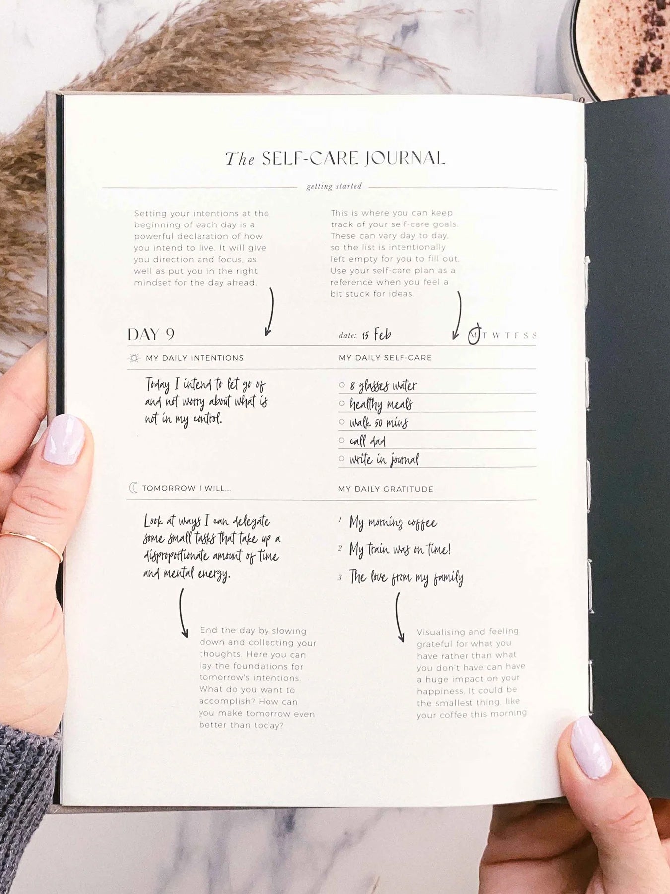 Blush & Gold My Daily Self Care Journal - Mindfulness Planner for Women, Gratitude & Wellness Diary - Perfect for Daily Reflection, Goal Setting & Mental Health