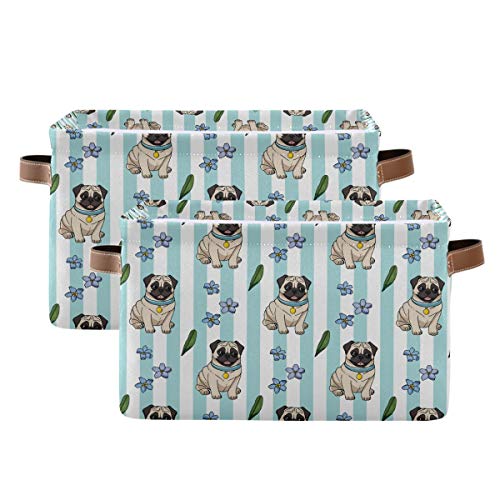 Cute Cartoon Pugs