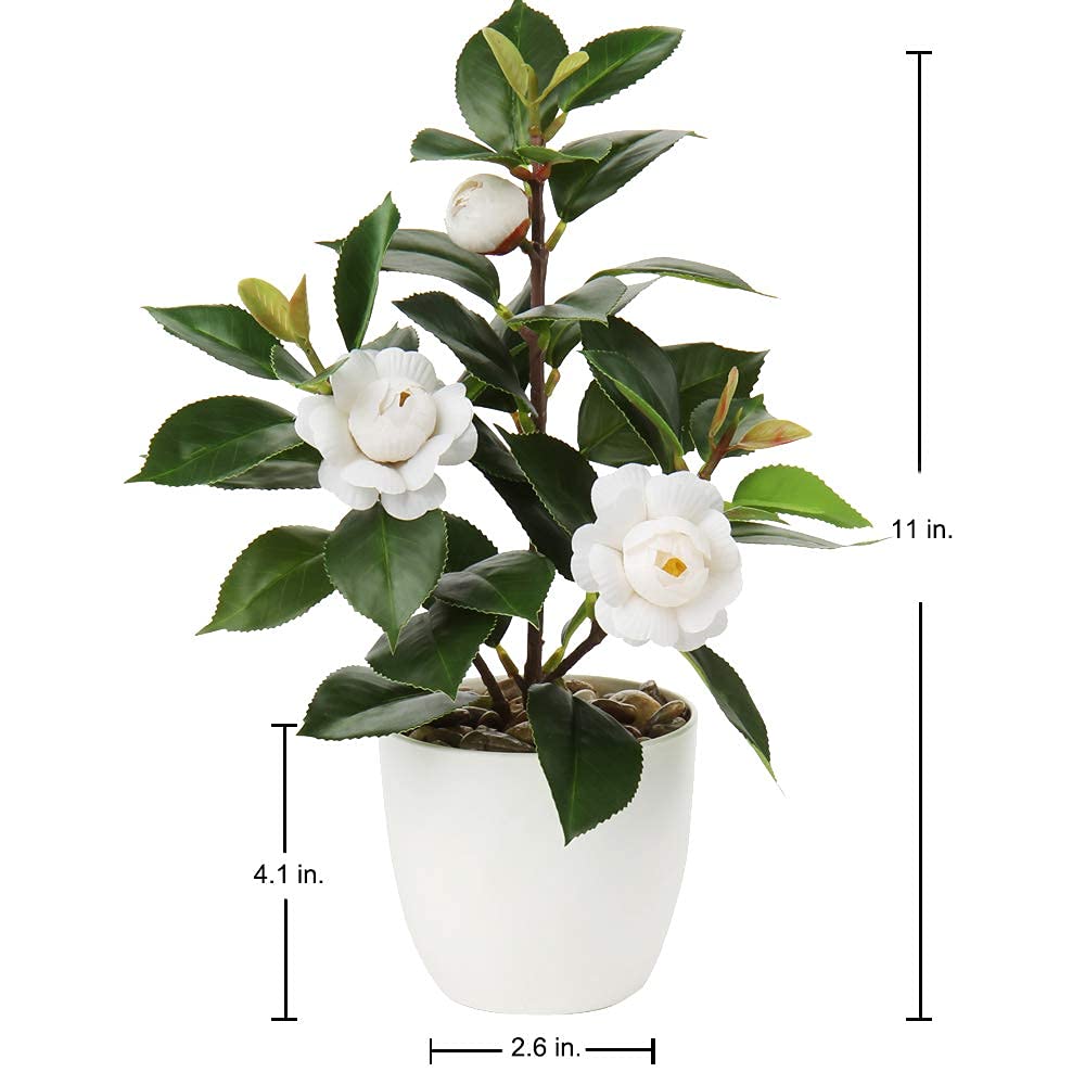 Briful Mini Camellia Artificial Potted Plants - Small Faux Plastic Flowers with Vase for Home, Office, Desk, Kitchen Decor | Perfect for Indoor Greenery, Table Centerpieces & Shelf Displays