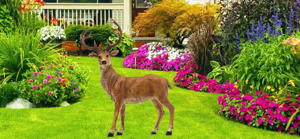 Standing Deer Statue with Removable Antlers - Wildlife Animal Garden Decor for Indoor & Outdoor Use - Perfect for Yard, Lawn, Patio, and Home Decoration Gifts