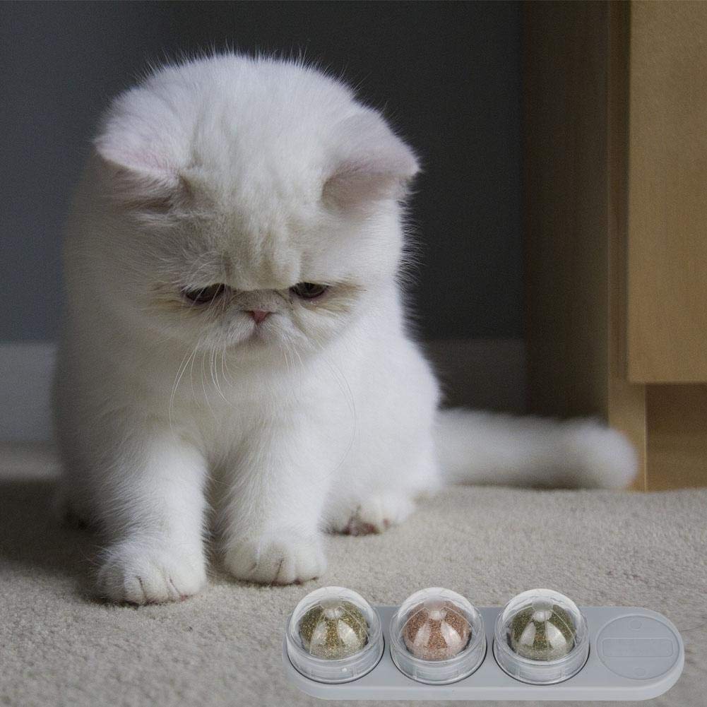LZKW Cat Teeth Cleaning Toy with Catnip - Natural Mint Material, Sealed Design Pet Dental Toy for Kittens & Adult Cats | Promotes Oral Health & Playtime Fun