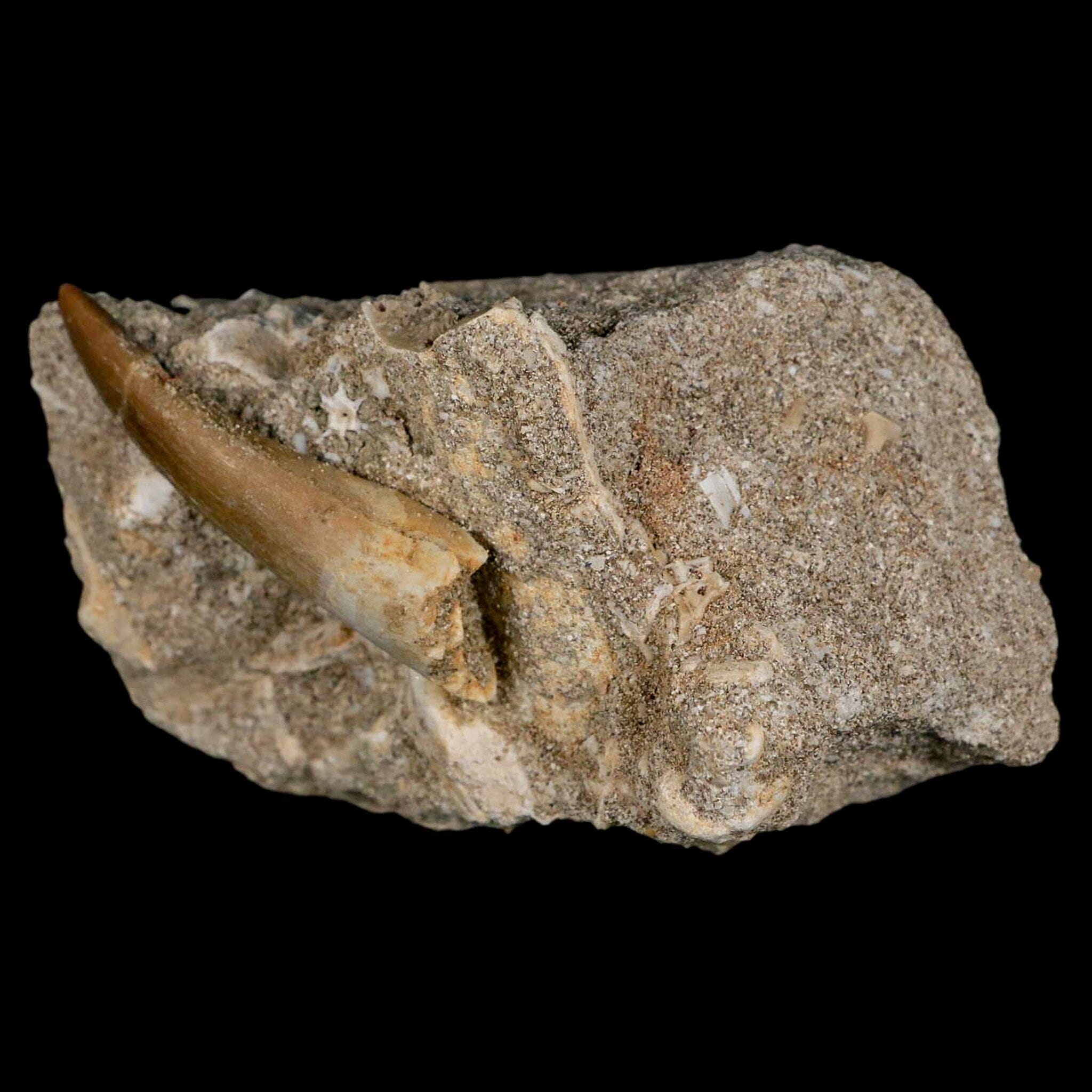 1.8