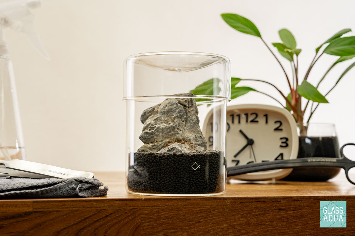 Miniature Terrarium Kit - DIY Glass Garden with Succulents & Moss for Home Decor, Office Desk, or Gift Idea | Creative Indoor Gardening Project for Beginners
