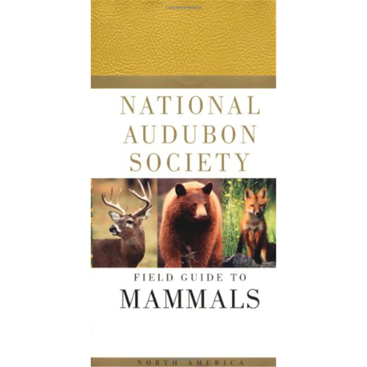 Random House Books for Young Readers: Mammals of North America - Wildlife Guide for Kids | Perfect for Homeschooling & Nature Exploration