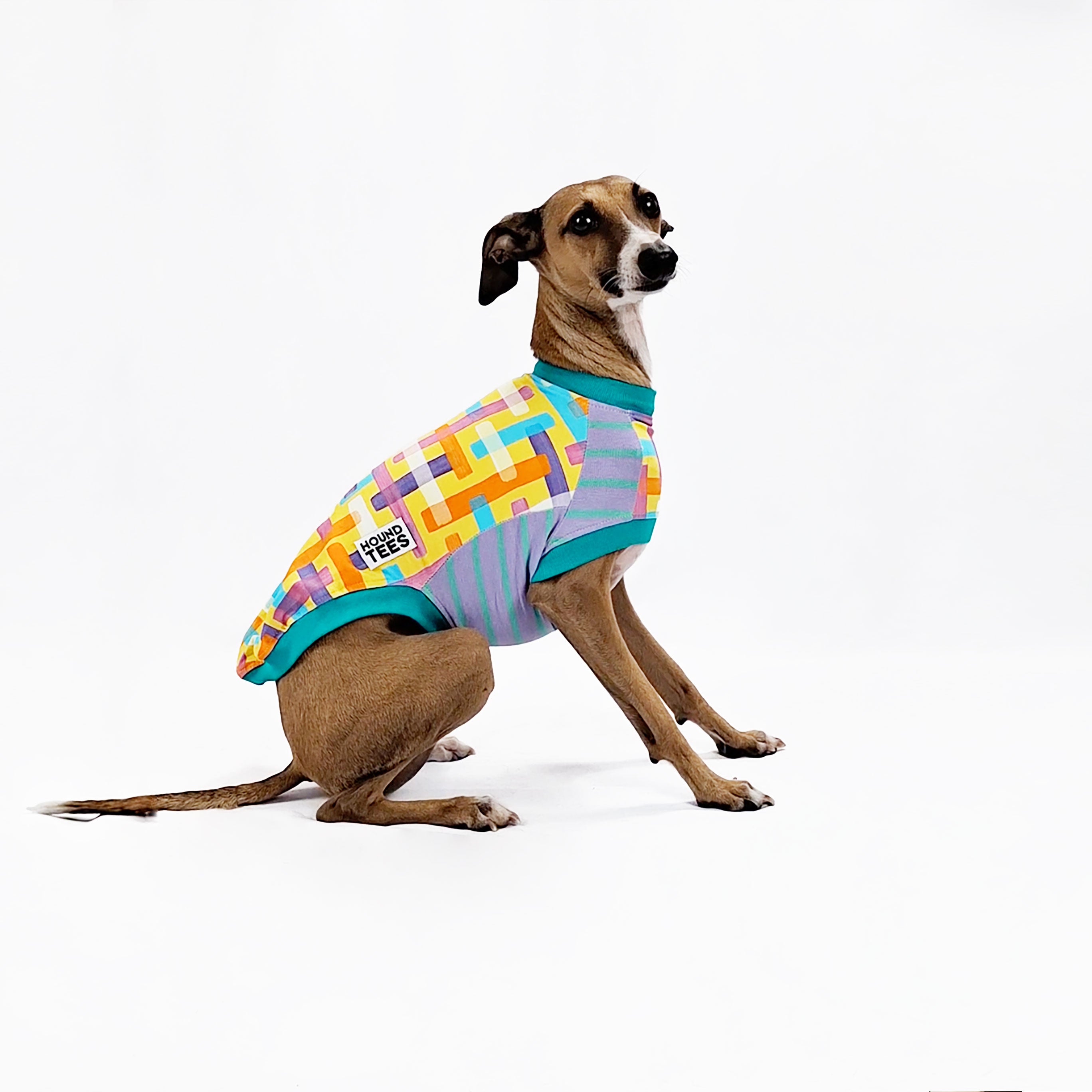 Stylish Broken Gingham Italian Greyhound Sleeveless T-Shirt for Dog Lovers - Perfect for Casual Wear, Dog Walks & Pet-Themed Events