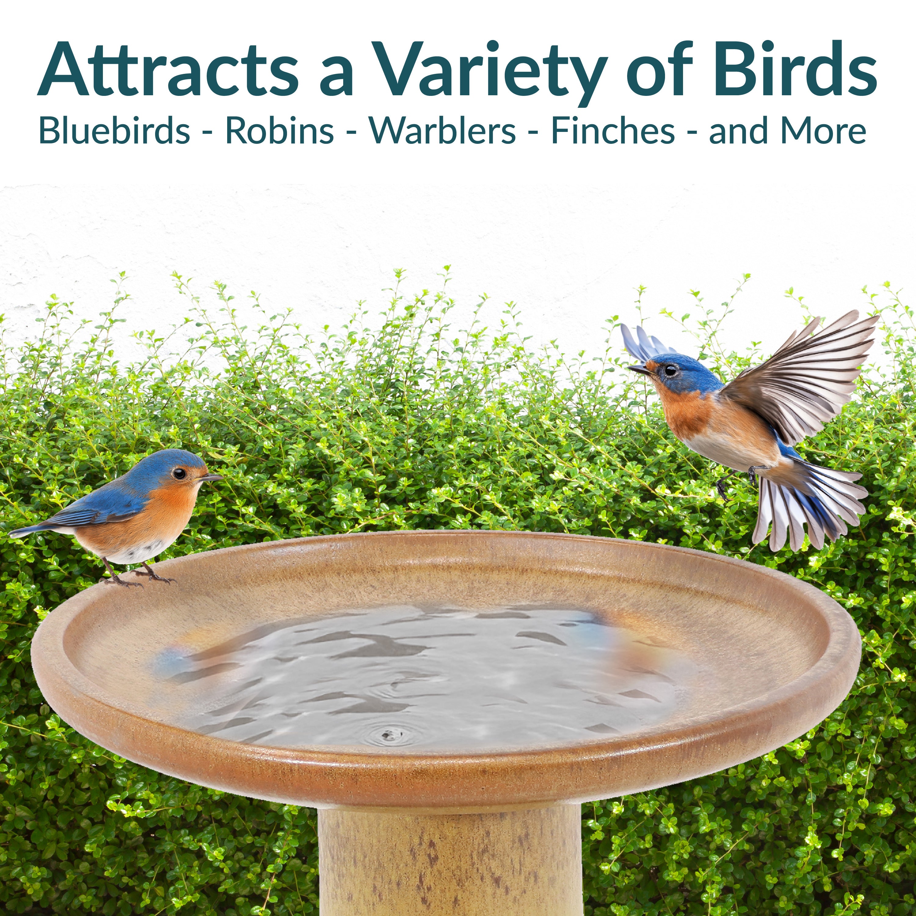 Sunnydaze 18 Inch Glazed Ceramic Outdoor Bird Bath - Garden Decor for Attracting Birds & Enhancing Outdoor Spaces