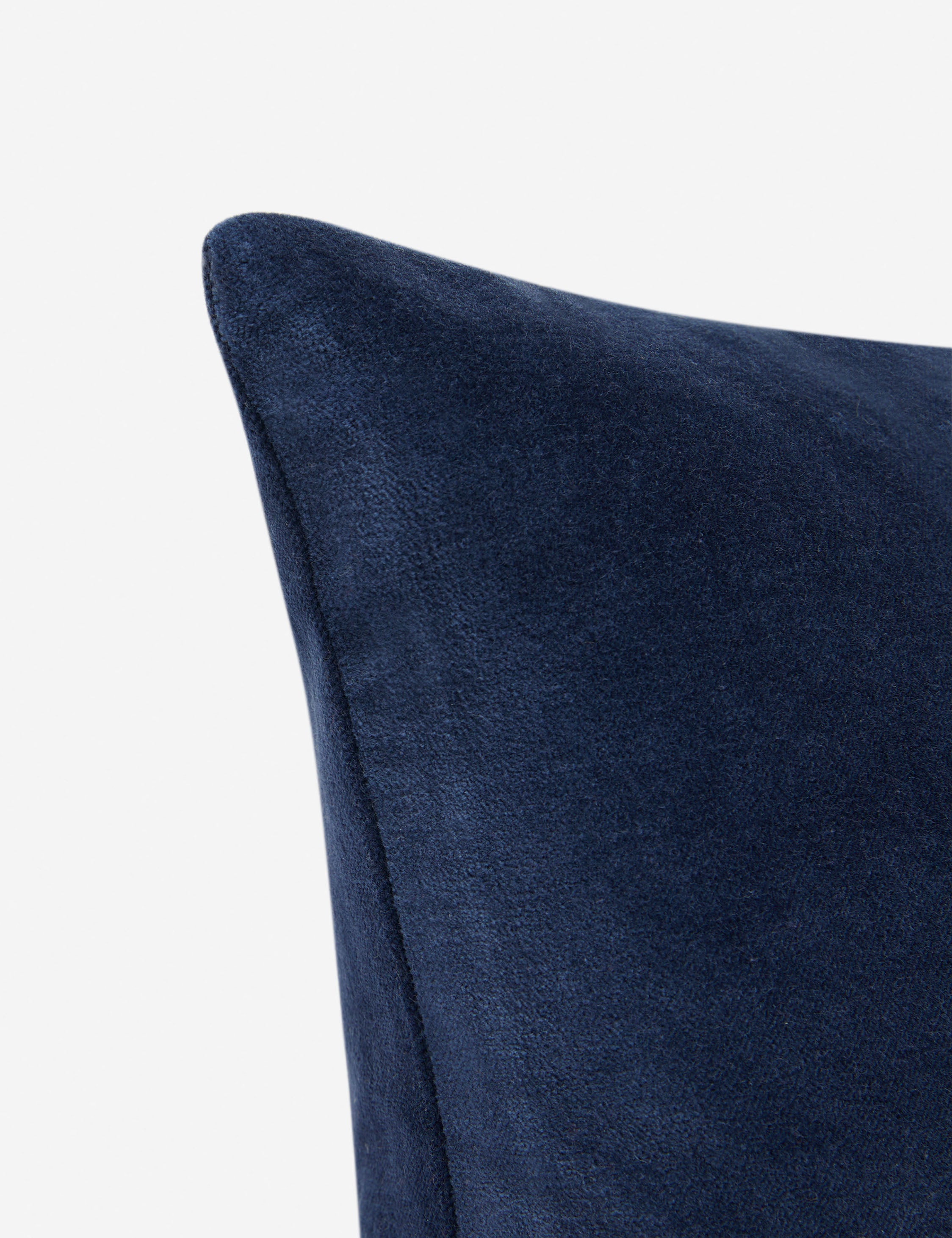 Charlotte Velvet Pillow - Soft Luxury Decorative Throw Pillow for Sofa, Bed & Couch - Perfect for Living Room, Bedroom & Home Decor