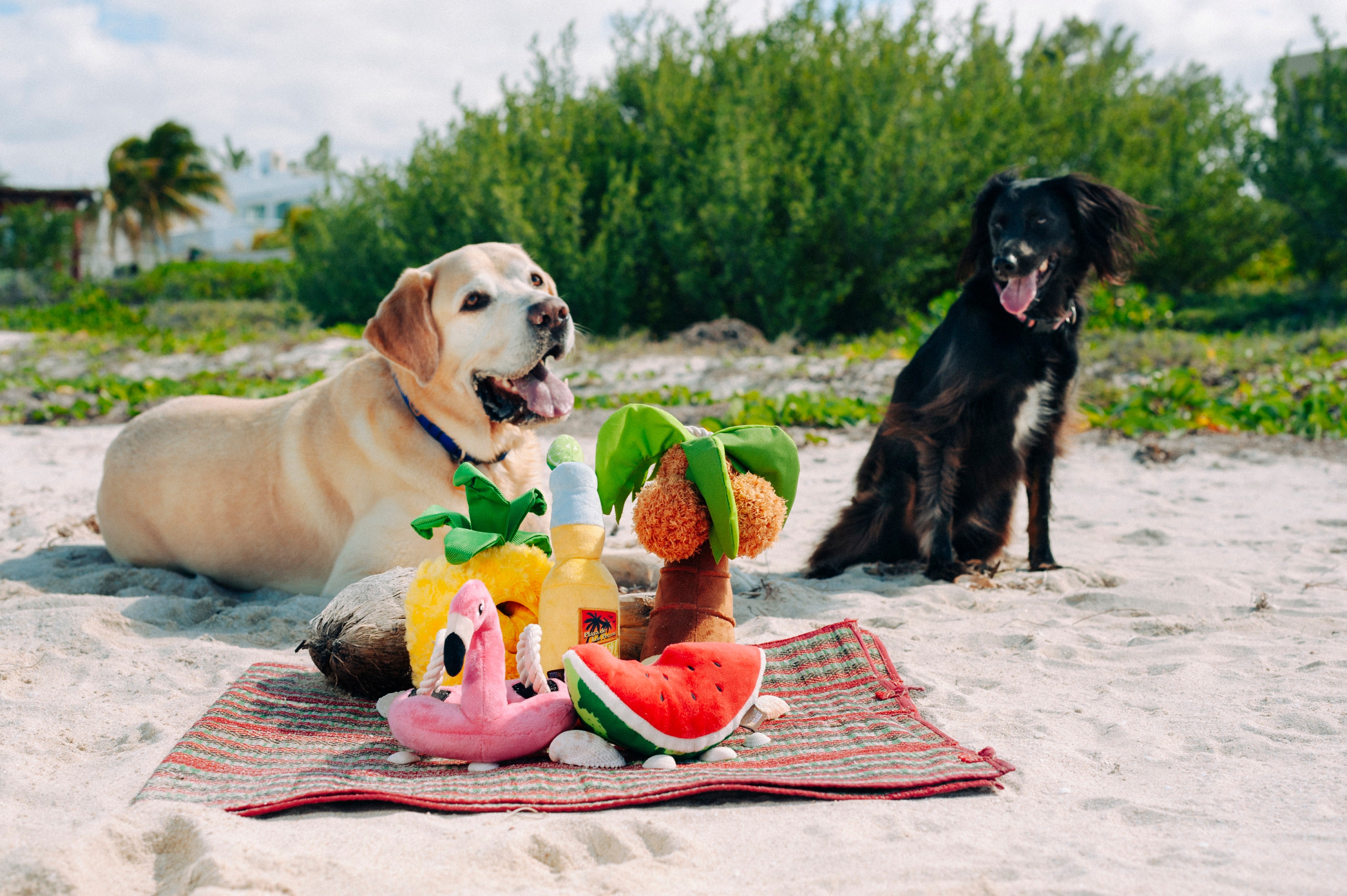 Tropical Paradise™ Dog Plush Toy - La Piña Chew Toy for Dogs | Soft & Durable Pet P.L.A.Y. Puppy Toy | Perfect for Playtime, Training & Cuddling