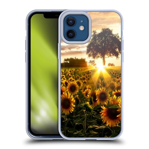 Fields Of Gold