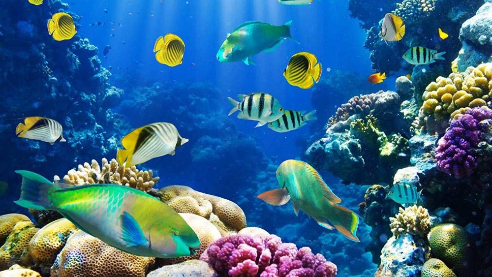 4000-Piece Wooden Jigsaw Puzzle for Adults & Kids - Underwater Ocean Scene with Fish & Coral Reefs - Large 148x105cm Educational DIY Puzzle - Perfect for Family Game Night, Classroom Activities & Stress Relief