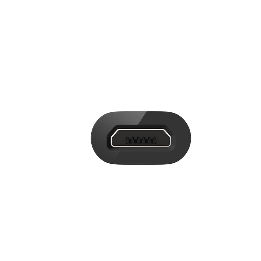 Belkin USB C to Micro USB Adapter - High-Speed Data Transfer & Charging Converter - Perfect for Smartphones, Tablets & Laptops