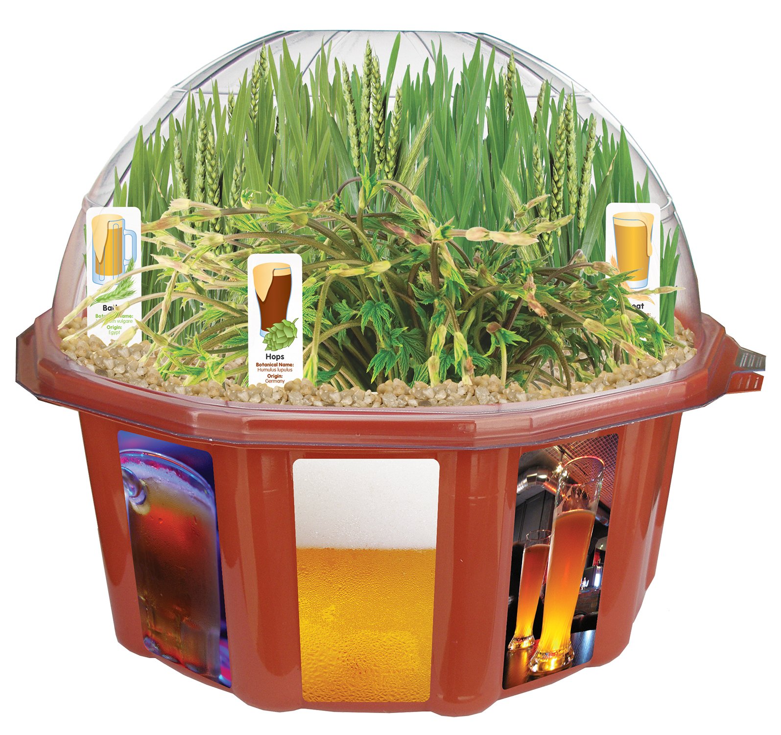 Dunecraft Beer Garden Domed Terrarium Kit - Mini Glass Greenhouse for Plants, Succulents & Herbs - Perfect for Home Decor, Office Desk & Indoor Gardening