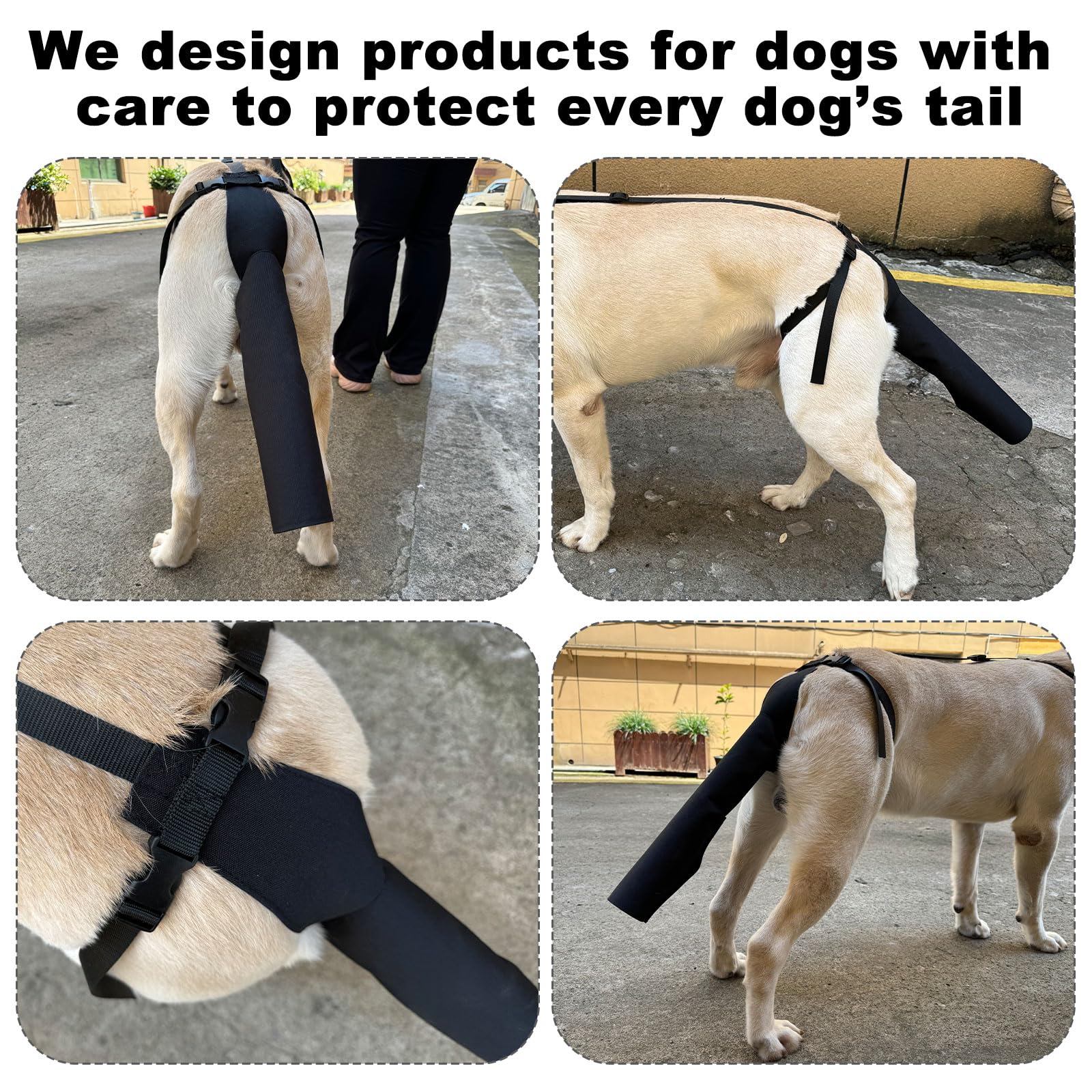 Dog Tail Protector for Wounds & Happy Tail Syndrome - Breathable Tail Guard Sleeve Cover with Adjustable Harness (Size M) - Perfect for Active Dogs, Post-Surgery Recovery & Injury Prevention