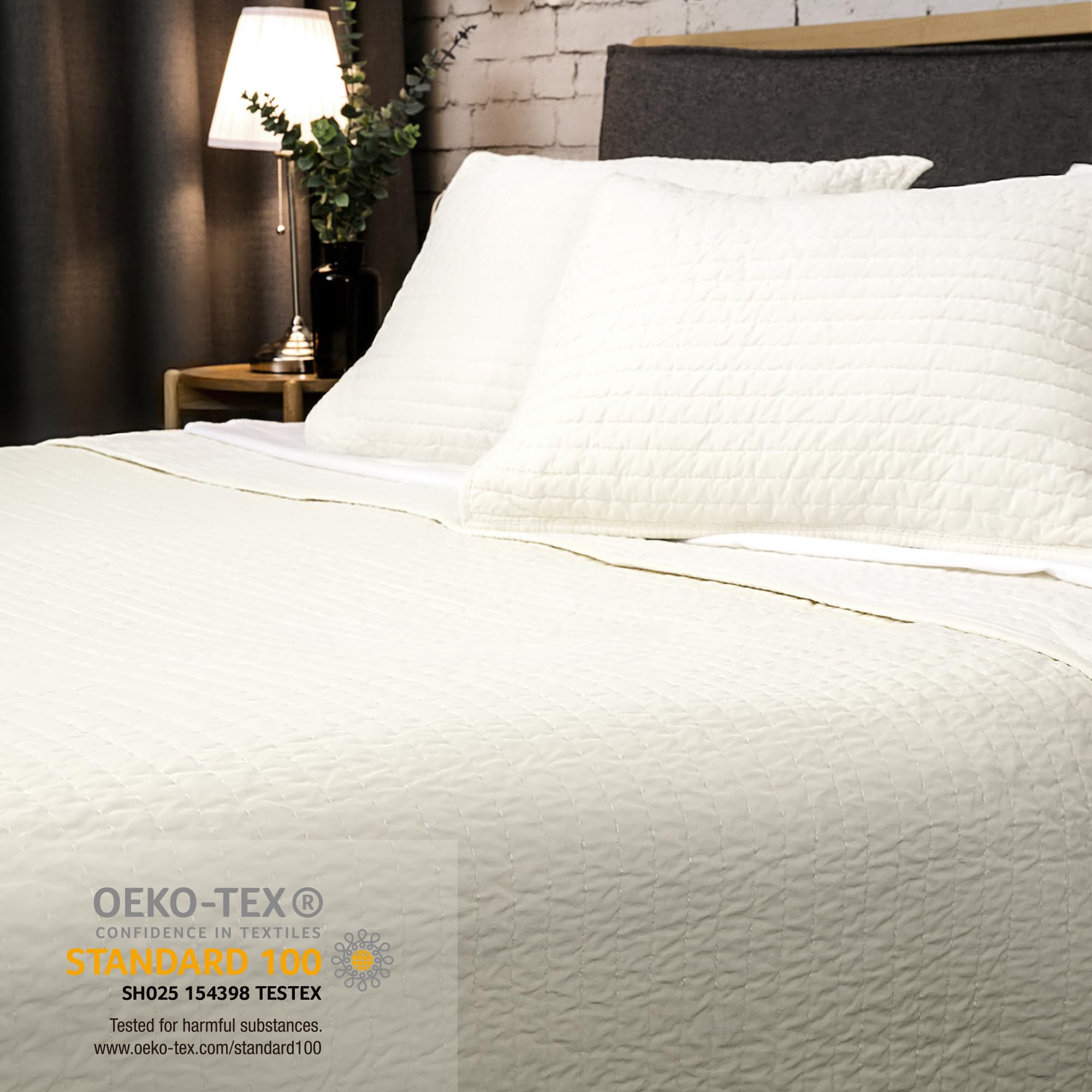 ELEGANT LIFE HOME Velvet Quilt Oversized King Size 108