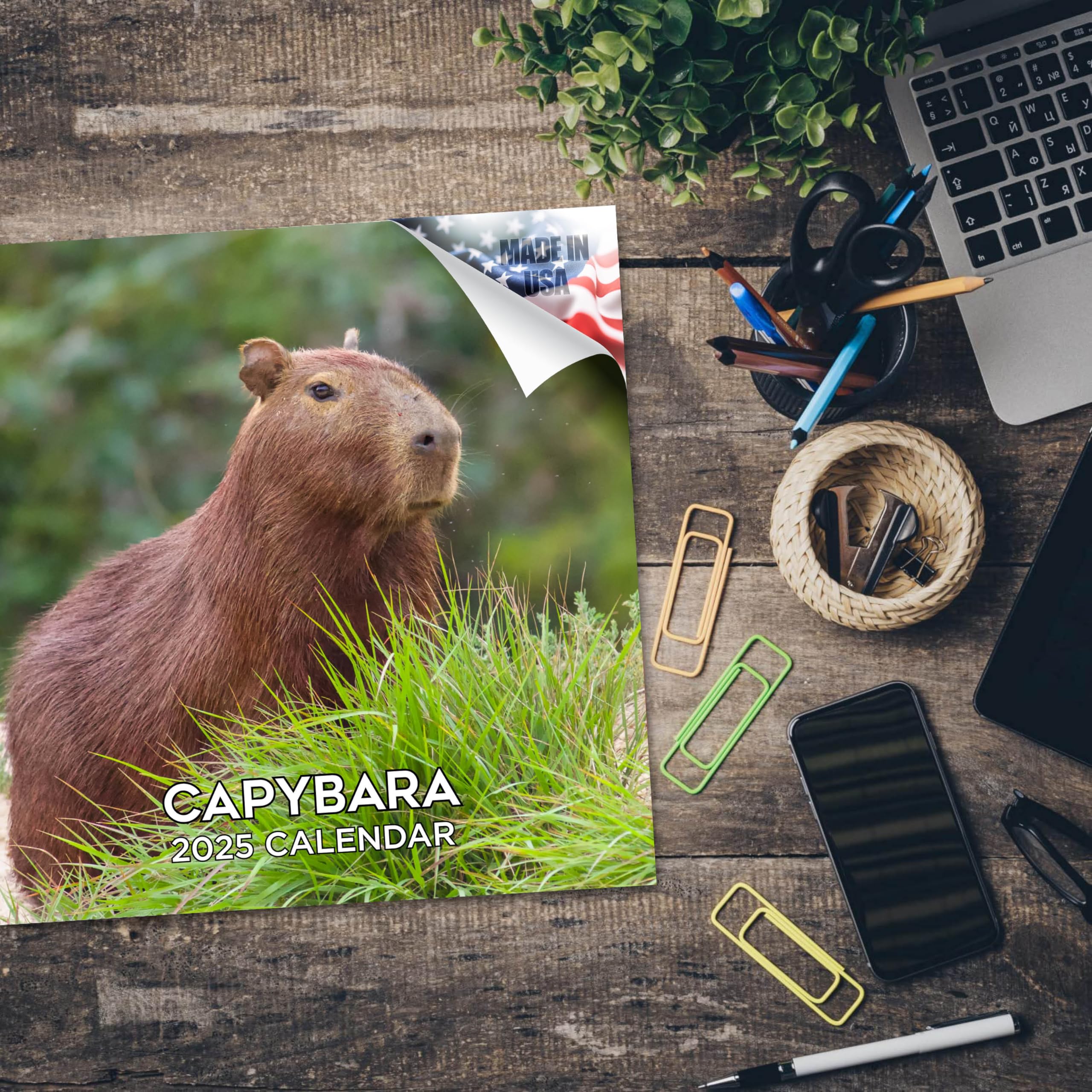 2024-2025 Capybara Wildlife Wall Calendar - 12