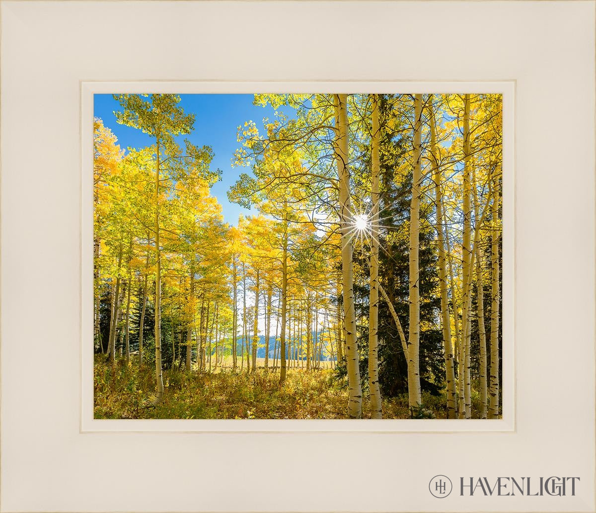Autumn in the Rocky Mountains - Stunning Fall Foliage at Wasatch National Forest Utah | Perfect for Hiking, Photography & Nature Exploration