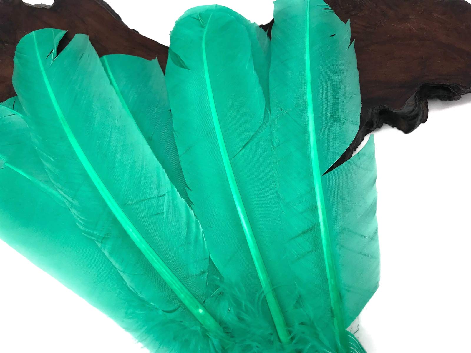 1 Lb. Bulk Aqua Green Turkey Tom Rounds Secondary Wing Quill Feathers for Halloween Crafts, DIY Costumes & Home Decor | Wholesale Craft Supplies by Moonlight Feather