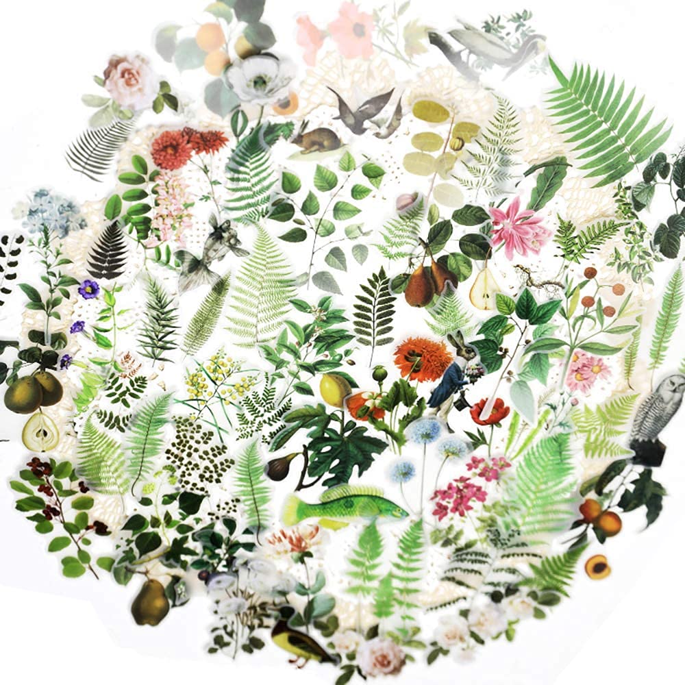 65PCS Doraking Transparent Green Plant Scrapbook Stickers - DIY Sulfuric Paper Decorative Stickers for Journaling, Bullet Journals, Greeting Cards & Scrapbooking (No Repeat Designs)