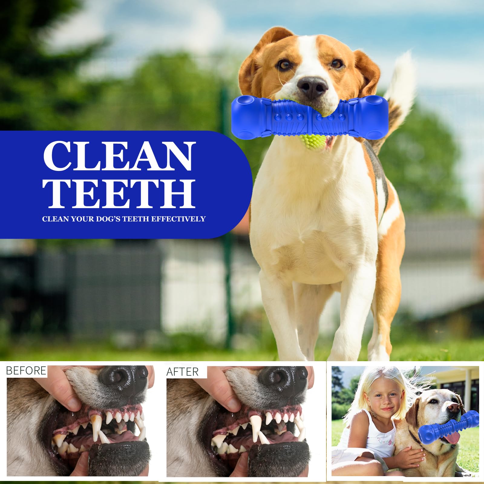 Durable Natural Rubber Dog Chew Toys for Aggressive Chewers - Tough Squeaky Toys for Medium Breed Dogs - Perfect for Playtime, Training & Teeth Cleaning