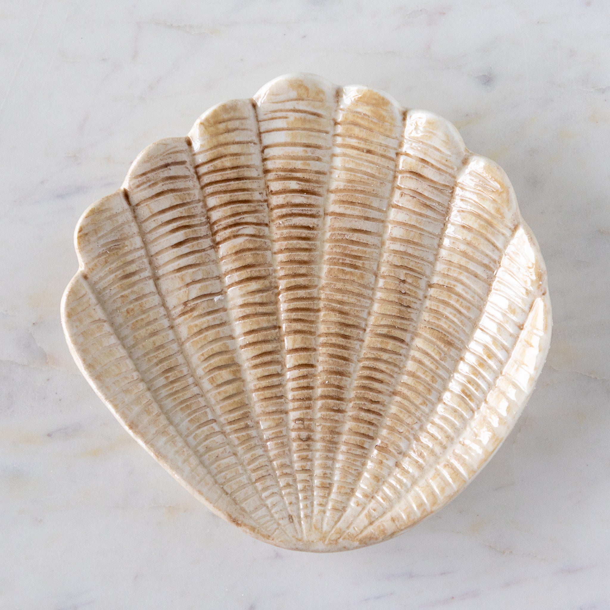 Hand Painted Stoneware Shell Shaped Dishes Set of 4 - Elegant Appetizer Plates for Seafood, Sushi & Desserts - Perfect for Beach Themed Parties & Coastal Home Decor
