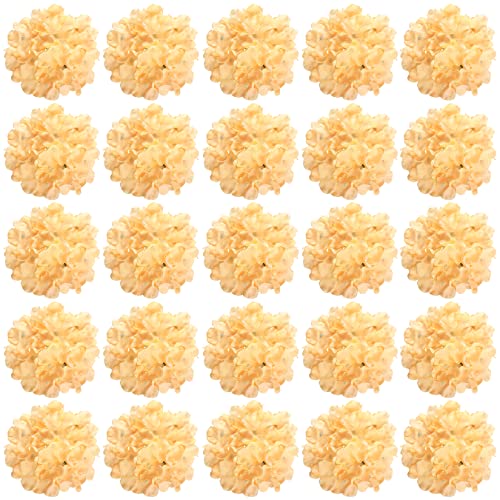 Champagne