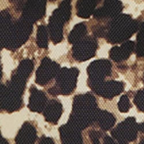 Wild Cheetah