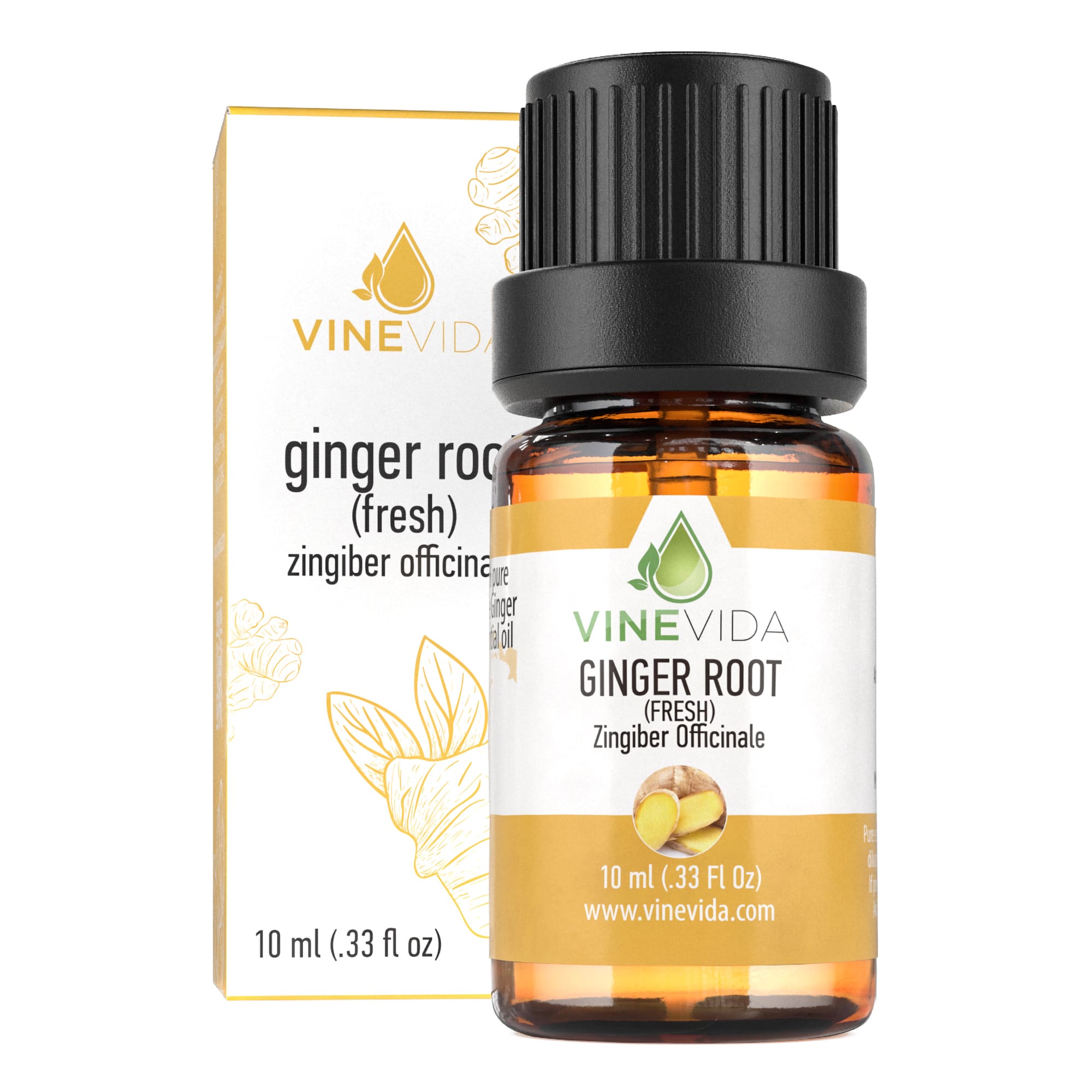 10 mL Fresh Ginger Root Essential Oil (Prefilled) - Pure & Natural for Aromatherapy, Massage & DIY Skincare