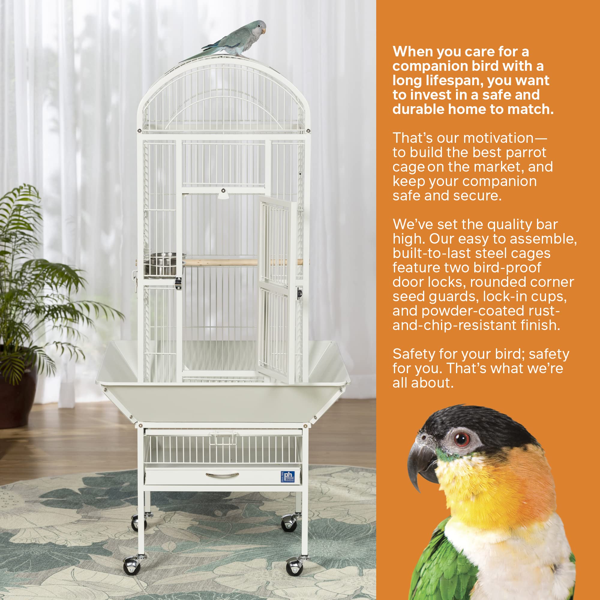 Prevue Pet Products 34512 Small Chalk White Dometop Bird Cage - Perfect for Parakeets, Finches & Small Birds - Home & Office Decor