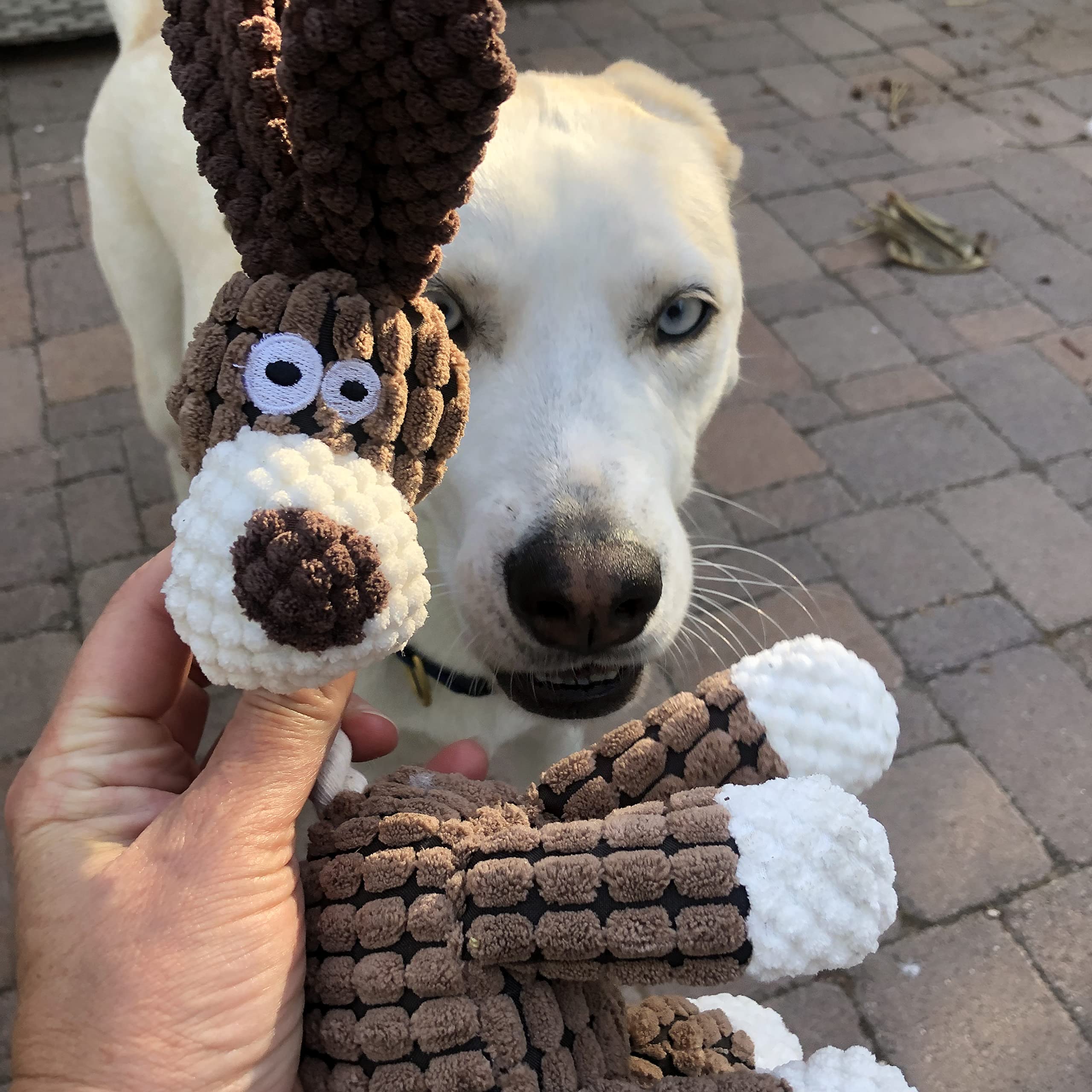 Durable Farm Animal Dog Chew Toy with Squeaker & Rope - Perfect Interactive Play Toy for Small Dogs - Great for Indoor & Outdoor Fetch Games