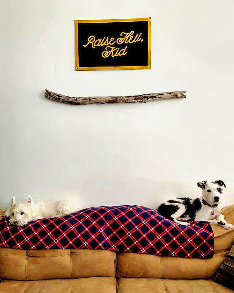 Raise Hell Kid Felt Flag Banner - Customizable Party Decor for Kids Room, Nursery & Birthday Celebrations - Perfect for Wall Decor, Photo Backdrops & Themed Parties