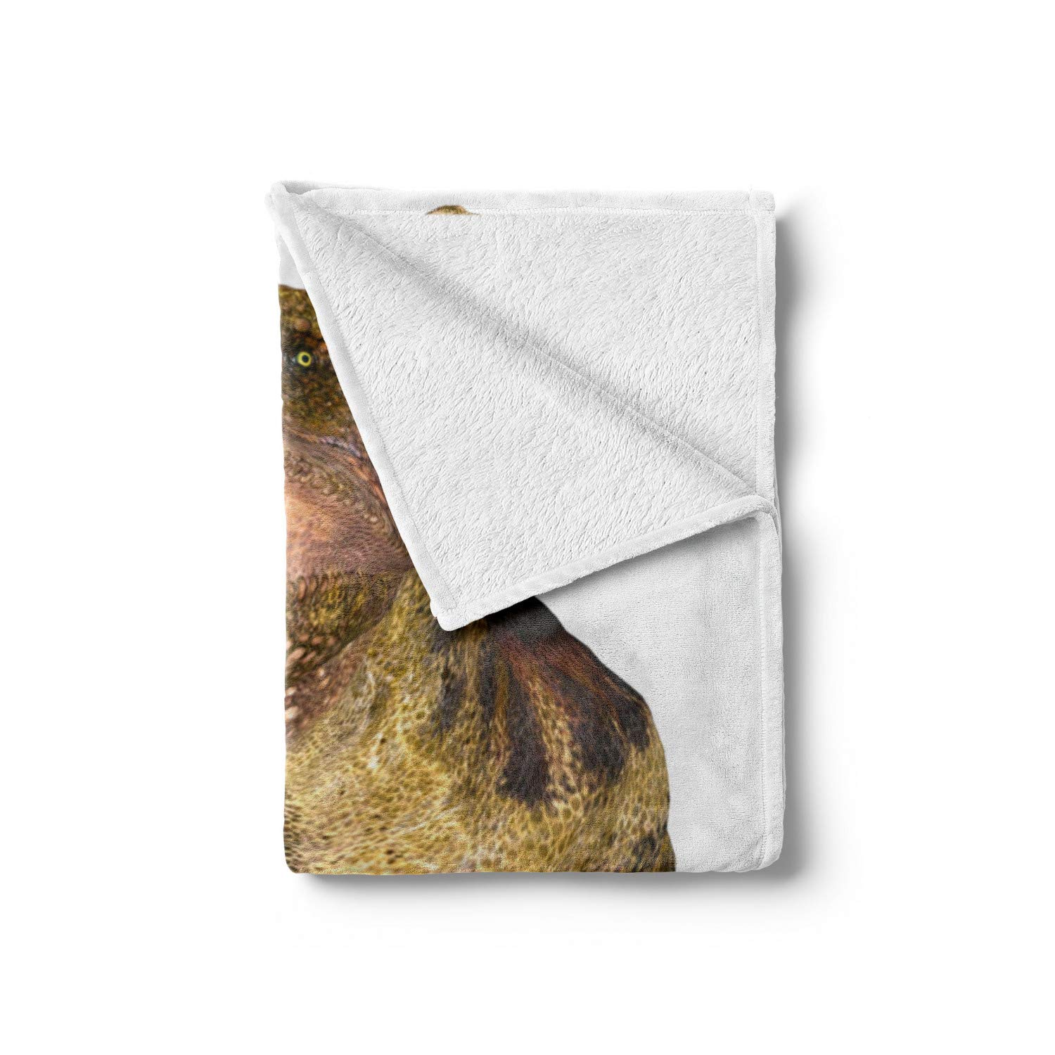Ambesonne Dinosaur Fleece Throw Blanket 70