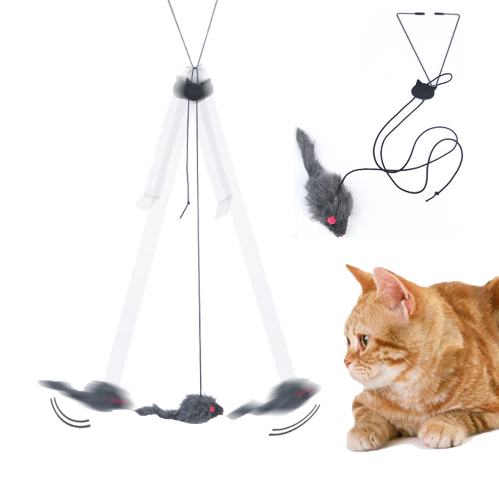 Durable Dragonfly Cat Toy for Indoor Cats - Interactive Teaser & Exercise Hanging Toy for Kittens - Perfect for Doors, Windows, Chairs & Cat Cages - Stimulating Play for Active Felines