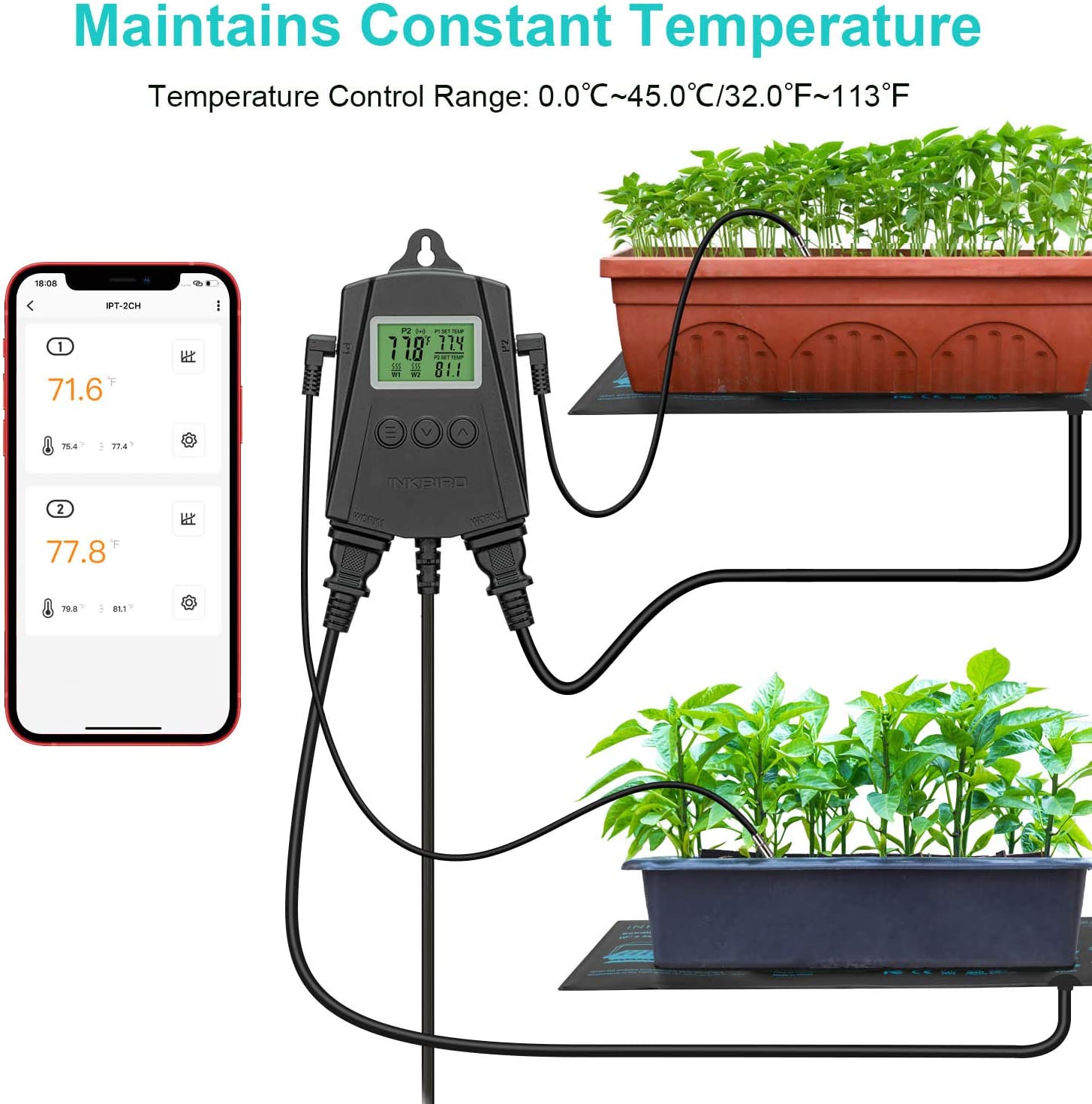 IPT 2CH Dual Channel Digital Temperature Controller - Precise Thermostat for Home Brewing, Aquariums & Reptile Tanks