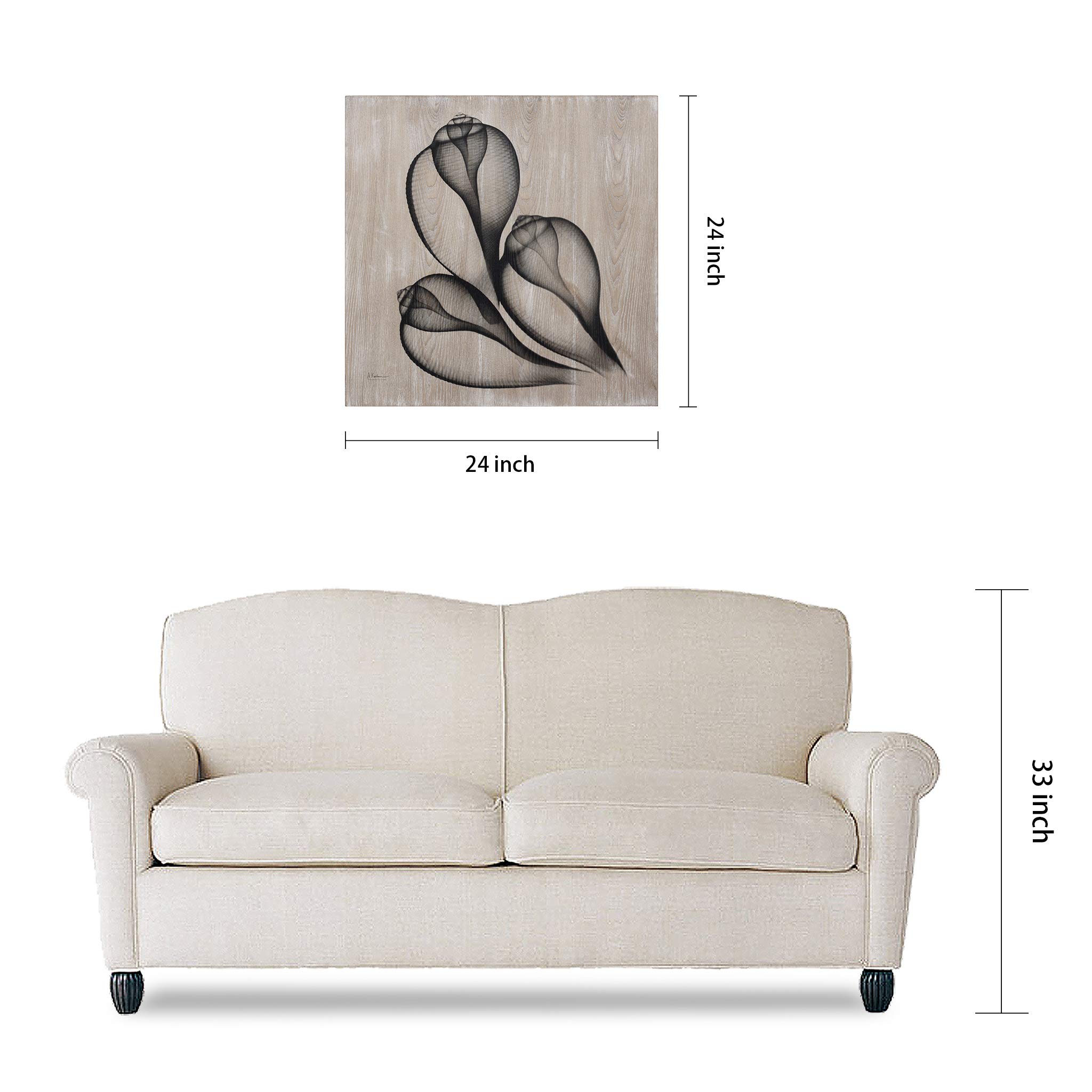 Coastal Serenity II Wall Art - X-Ray Photo Giclee Print on Hand-Finished Ash Wood - 24x24 Inches Ready to Hang - Modern Beach Decor for Living Room, Bedroom & Office - Perfect for Coastal, Boho & Farmhouse Style Homes