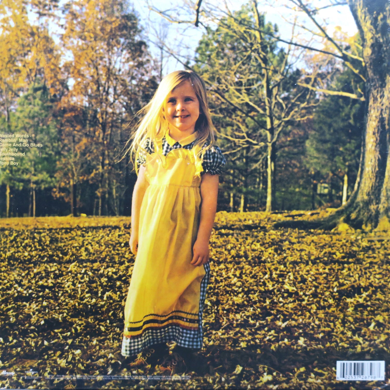 Allman Brothers Band 'Brothers And Sisters' Vinyl LP Record (1973 Classic Blues Rock Album) - Perfect for Vinyl Collectors & Music Enthusiasts