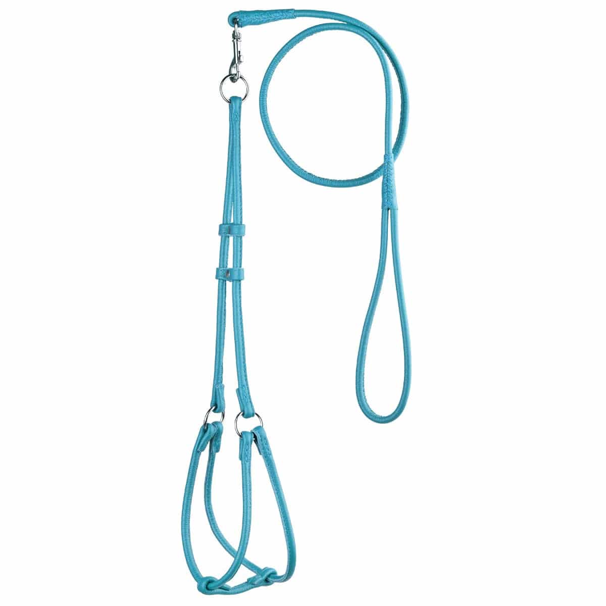 Premium Leather Step-In Dog Harness & Lead Set - Adjustable, Comfortable & Durable for Small to Medium Dogs - Perfect for Walking, Training & Outdoor Adventures